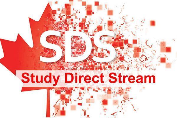 Chương trình SDS của chính phủ Canada là gì? Có khác gì so với chương trình CES  cũ?