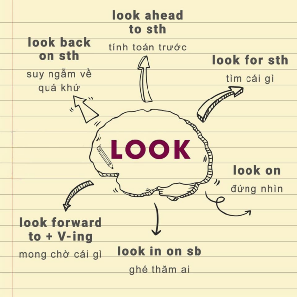 Các cụm động từ đi với "look"