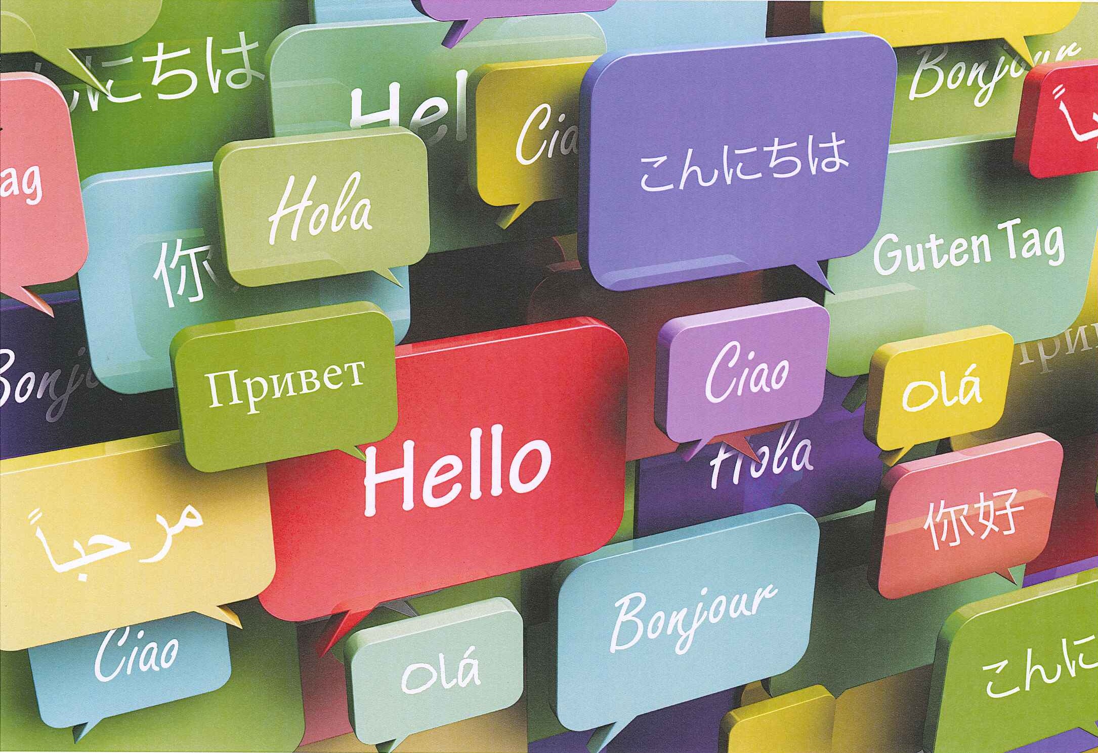 Web học ngoại ngữ hay, tiện dụng