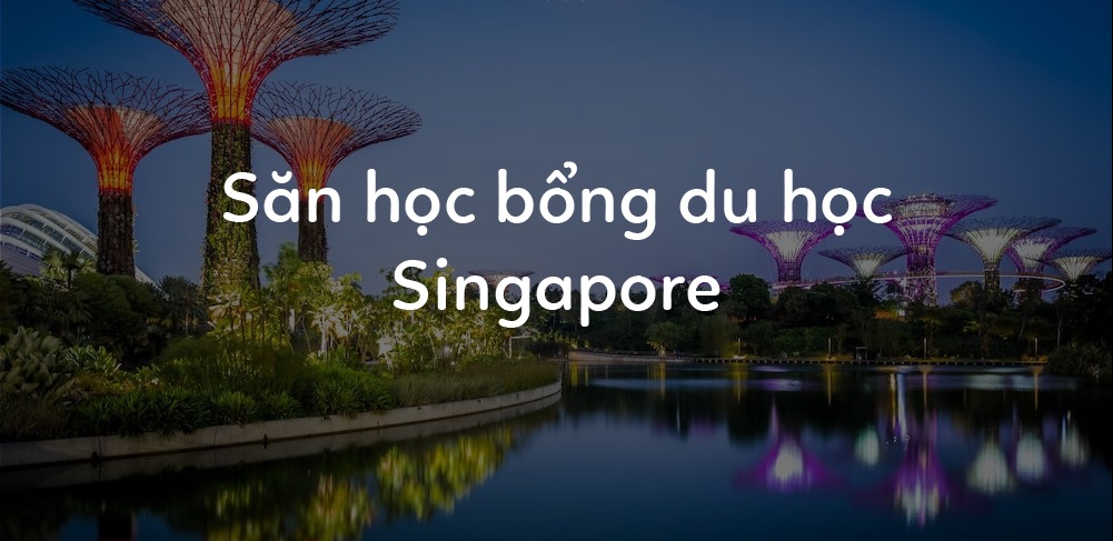 Kinh nghiệm săn học bổng Singapore toàn phần