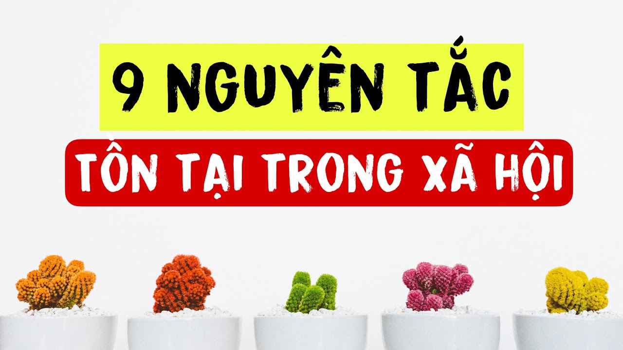 9 nguyên tắc tồn tại trong xã hội không ai tiết lộ cho bạn biết